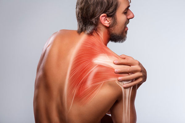 Shoulder Tendonitis