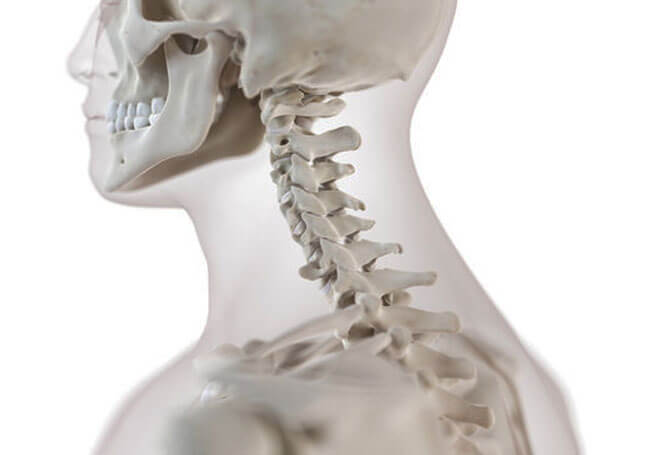 Cervical Spine