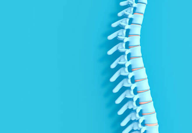 Lumbar Spine